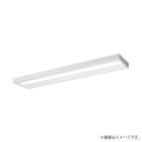 LEDベースライト セット XLX400SEVJLE9(NNLK42525J+NNL4000EVJ LE9)XLX400SEVJ LE9 パナソニック