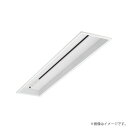 パナソニック イージーアップ配線ダクト DH02309(ライティングレール/配線ダクトレール)入力200V 出力100Vタイプ ダウントランス搭載