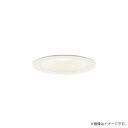 LEDダウンライト 電球色 LGD5200LLE1（LGD5200L LE1）パナソニック
