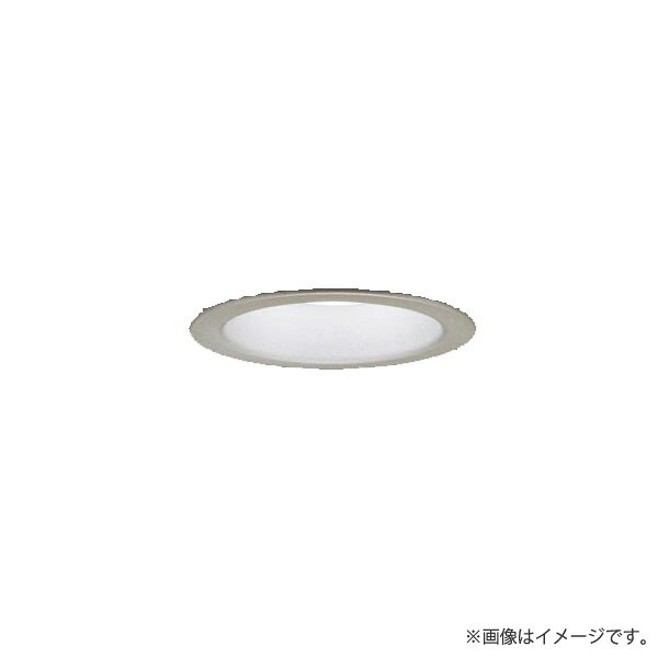 LEDダウンライト 昼白色 LRD1102NLB1（LRD1102N LB1）パナソニック