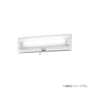 パナソニック NNFF21865TLE9(NNFF21865T LE9)LED非常灯 階段通路誘導灯