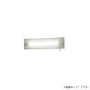 壁直付型　20形・LED(昼白色)　直管LEDランプベースライト（非常用）　強化ガラスパネル・30分間タイプ　防湿型・防雨型　パネル付型　直管形蛍光灯FL20形1灯器具相当電源ユニット内蔵、ランプ同梱包◆非常時LDL20S・N／11／12-K点灯（560 lm）　　常時LDL20S・N／11／12-K点灯　◆色温度：5000 K　◆光源寿命40000時間（光束維持率85％）◆幅：688 mm　◆高：170 mm　◆出しろ：115 mm◆質量：5.2 kg◆ランプ品名：LDL20S・N／11／12-K　◆器具光束：820 lm　◆安定器出力型：定格出力型　◆安定器補足：＜出力固定型＞　◆電圧：100〜242 V　◆消費電力：15 W　◆消費効率：54.6 lm/W◆【反射板】鋼板（ホワイト）◆【パネル】強化ガラス（片面シルク印刷）◆【蓄電池】ニッケル水素蓄電池◆点検スイッチ付◆充電モニタ（緑）付◆IP23　防湿◆壁直付型◆Ra84◆型式認定番号：3AE-1060◆非常灯評定番号：LALD-007【交換電池】FK843◆直付型メーカー希望小売価格はメーカーカタログに基づいて掲載しています