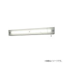 LED非常灯 NWFF41639JLE9（NWFF41639J LE9）非常用照明器具 階段通路誘導灯 パナソニック