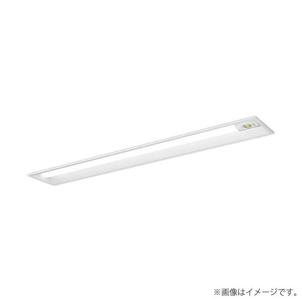 パナソニック XLG423RGNLE9(NNLG41319+NNL4205GN LE9)XLG423RGN LE9 LED非常灯 非常用照明器具 セット リニューアル用
