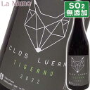 クロ・リュエーン アルノー・デュプイエ ティジェルノ 2022年 赤ワイン フランス オーヴェルニュ 750ml 酸化防止剤無添加 サンスフル 自然派 ナチュラルワイン