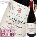 レ・ペイロタン ペイ ドック ピノ ノワール 赤ワイン フランス ラングドック 750ml 旨安 コスパ デイリーワイン Pays d’Oc Pinot Noir