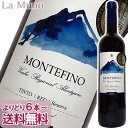 eE_Ey[j etB[m [@ 2007N ԃC |gK 750ml Rh i`C Monte da Penha Montefino Reserva