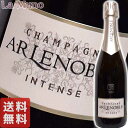 自然派シャンパン A.R.ルノーブル ブリュット アンタンス マグ20 発泡白ワイン フランス シャンパーニュ 750ml ARL Brut Intense M...