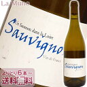 tcE\[ \[Bj 2022N C \[Bju tX [ 750ml Rh I[KjbNC Frantz Saumon Sauvignon