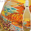 リッカ・テッラ ハイ ヌーン スキン コンタクト オレンジワイン オーストラリア 750ml 自然派 ナチュラルワイン Ricca Terra High Noo...