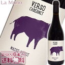 ヴェルソ カベルネ マッセ パスー 2022年 赤ワイン イタリア モリーゼ 750ml オーガニックワイン(ICEA) 自然派ワイン VERSO Cabernet Masse Pasut 稲葉