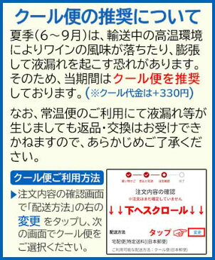 自然派 赤ワイン ジャン・リュック・テュヌヴァン / バッド ボーイ 750ml フランス・ボルドー ビオ ナチュラルワイン メルロー
