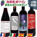 【クール代込み】 人気家飲みワイン 赤ワイン4本セット 自然派ワイン飲み比べ