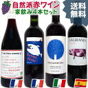 人気家飲みワイン 赤ワイン4本セット 自然派ワイン ナチュラルワイン 飲み比べ