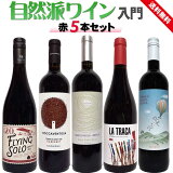 ɥ磻祻å ֥磻5ܥå ե ꥢ ڥ ˥å Ȱ  ʥ磻 ͤ碌  wainn wine  ץ쥼 ߤ䤹