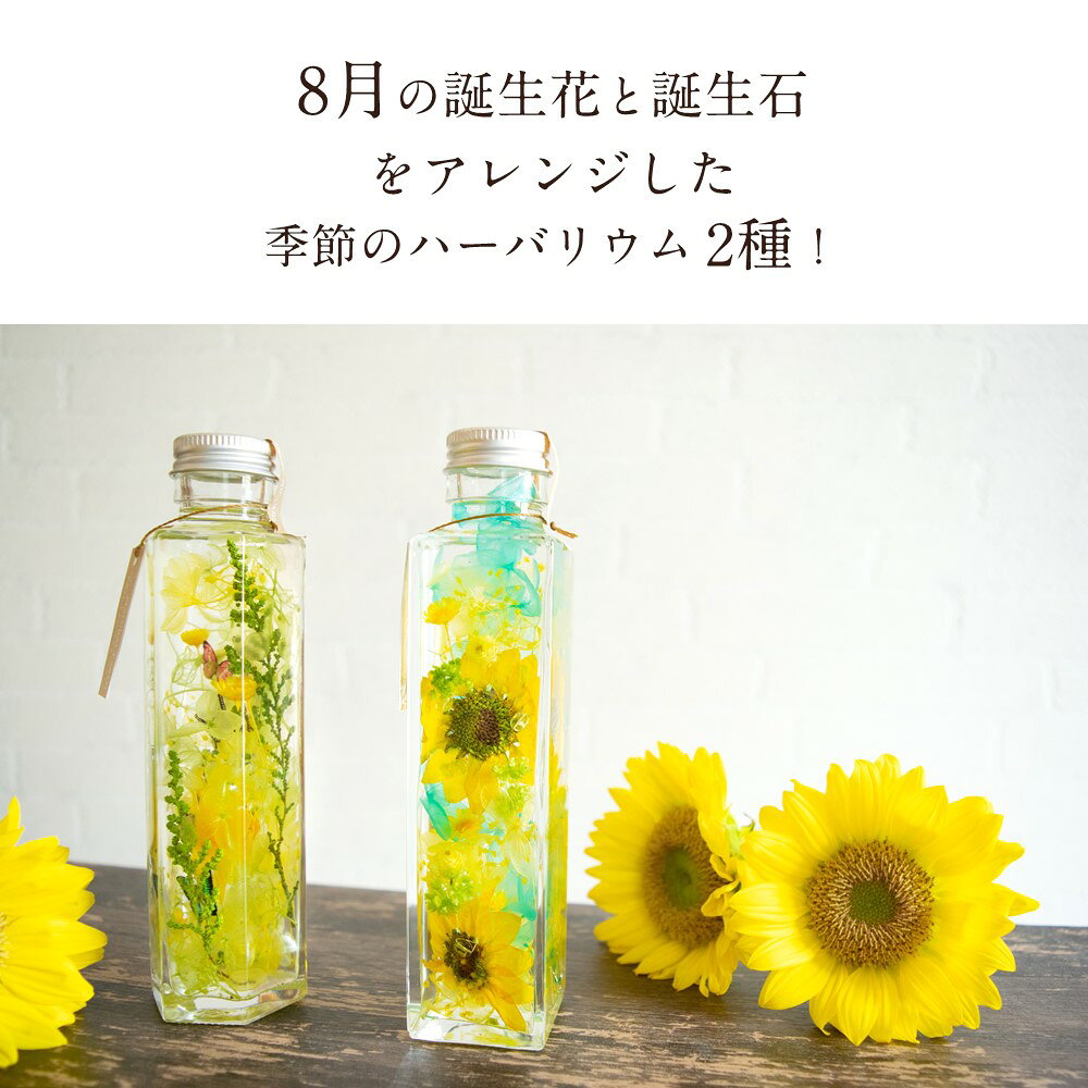 季節 ハーバリウム ひまわり 向日葵 夏 8月 八月 蝶 ちょうちょ 飾り 飾り付け 装...
