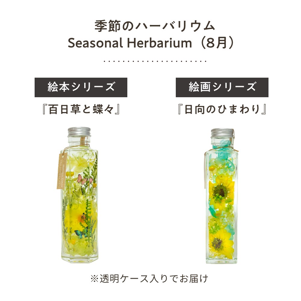 季節 ハーバリウム ひまわり 向日葵 夏 8月 八月 蝶 ちょうちょ 飾り 飾り付け 装...