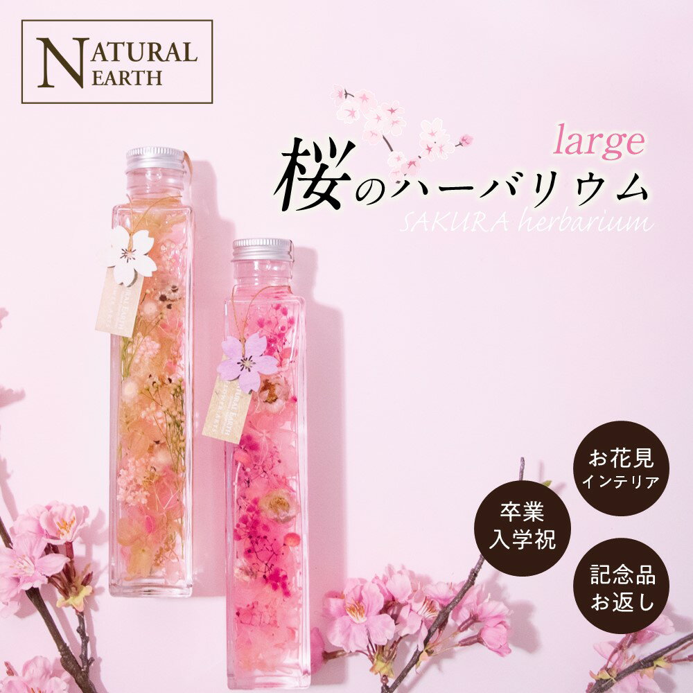 ＼割引クーポン配布中／ハーバリウム 桜 サクラ 雑貨 桜モチーフ 小物 インテリア プレゼントにも最適 200ml 送料無料