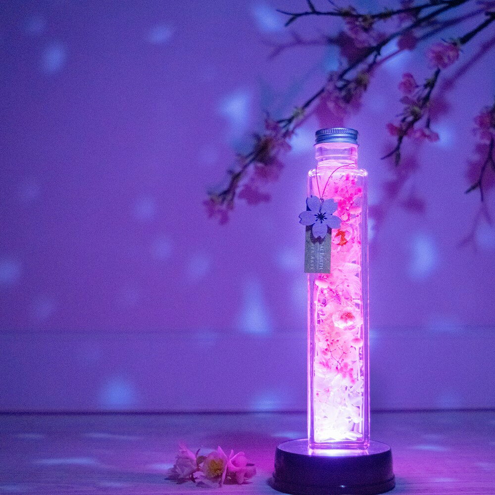 ＼割引クーポン配布中／ハーバリウム 桜 サクラ さくら 雑貨 桜モチーフ 小物 イン...