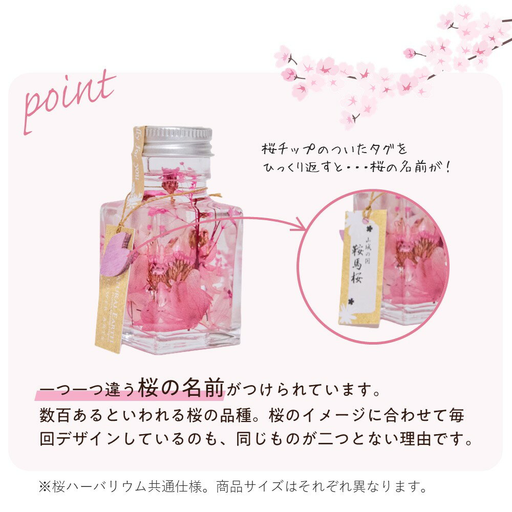 ����������ݥ������桿�ϡ��Хꥦ�� �� ������ ������ ���� ��������� ��ʪ ����ƥꥢ �ץ쥼��Ȥˤ��Ŭ 50ml ����̵�� ����� ����� ��Ϸ���� ������ ���̲� ���� �ץ쥼��� ���� �࿦�ˤ�