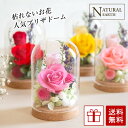 ガラスドーム ローズガーデン プリザーブドフラワー フラワー 早割 送料無料 母の日 ガラスドーム プリザ 母の日 敬老 2023