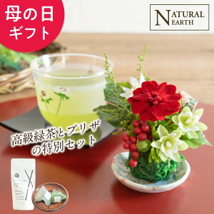 母の日 ★ 美濃焼皿の苔玉 和風 プリザ プリザーブドフラワー アレンジ フラワー お茶 セット 高級 緑茶 早割 送料無料 孫 花 プレゼント に人気 2022 お母さん 母 お花 アレジメント フラワーアレンジメント フラワーアレンジ ランキング ラッピング