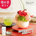 母の日 ★ ギフト お皿つき陶器の 和風 プリザ プリザーブドフラワー お茶 セット 高級 緑茶フラワー 早割 送料無料 孫 花 プレゼント 人気 祖父 祖母 2023 おばあちゃん おじいちゃん お花 アレンジメント フラワーアレンジメント アレンジ ランキング