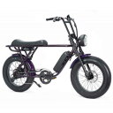 電動アシスト自転車 BRONX BUGGY-20 e-BIKE Amethysit e-BIKE Eバイク 公道可 東京 神奈川 埼玉 千葉 地域限定販売 ファットバイク ファットタイヤ 20インチ 通勤 通学