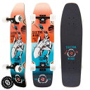 スケートボード SECTER9 CRUISER SERIES GAUCHO NINETY FIVE SK8 コンプリート オリンピック 初心者 メンズ レディー...