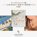 lana jewelry フックピアス 片耳 星 プルメリア ハワイアンジュエリー サージカルステンレス316L製 1個 レディース 金属アレルギー対応 送料無...