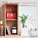 送料無料 幸福をもたらす 精霊が住む木 ガジュマル 白色 キューブ陶器 SSサイズ 【ぺブル・受皿】 結婚式 両親 記念品 親贈呈 両親贈呈 ミニ 人参 観葉植...