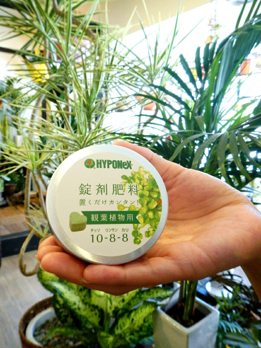 HYPONeX ローズマリー の肥料 観葉植物用 鉢の上に置くだけ！ NET約70g 錠剤肥料 観葉植物 3