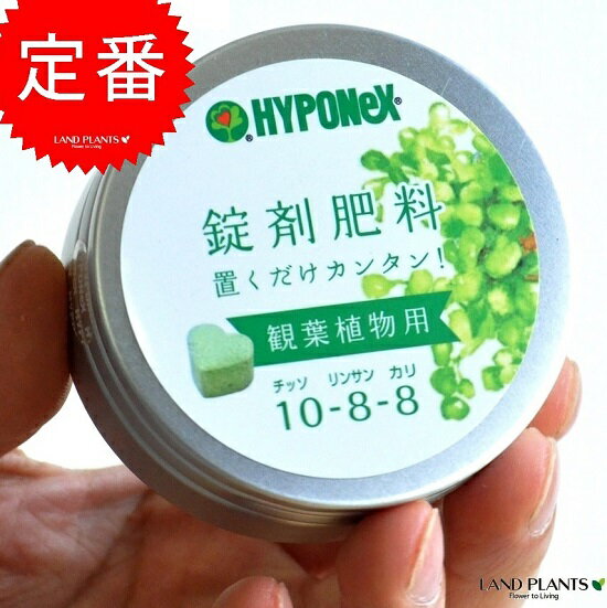 HYPONeX パキラ の肥料 観葉植物用 鉢