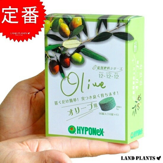 オリーブ専用　錠剤肥料　鉢土の上に置くだけ！　NET60錠　HYPONeX　錠剤肥料シリーズ　敬老の日　ポイント消化　観葉植物