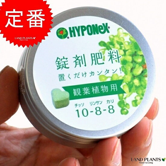 【肥料】HYPONeX 錠剤肥料 観葉植物用 鉢の上に置くだけ NET約70g 敬老の日 ポイント消化 観葉植物