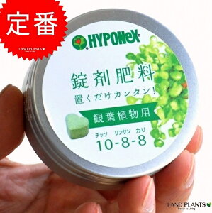 【肥料】HYPONeX　錠剤肥料　観葉植物用　鉢の上に置くだけ！　NET約70g　敬老の日　ポイント消化　観葉植物