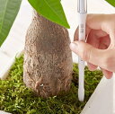 植物の水分計 Sustee サスティー Sサイズ 交換可能 Cabinotier 2号・2.5号・3号・3.5号 観葉植物・ラン・多肉植物・サボテン・花苗 サス...