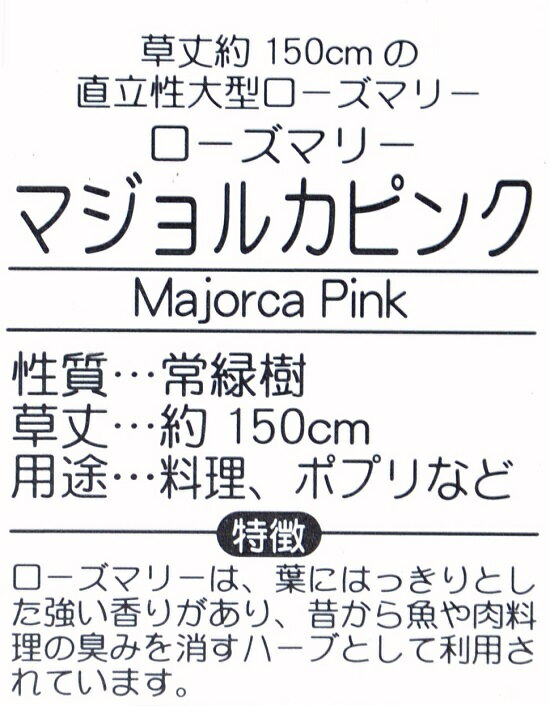 楽天市場 ローズマリー マジョルカピンク 3号 白色 プラスチック鉢 マンネンロウ 立性 たち性 マジョリカ 苗 苗木 鉢植え プラ鉢 トスカーナ 料理 ハーブ 境界垣 生垣 海のしずく 薬 バルコニスト ココヤシファイバー 観葉植物 Land Plants 楽天市場店 楽天市場 ローズマリー マジョルカピンク 3号 白色 プラスチック鉢 マンネンロウ 立性 たち性 マジョリカ 苗 苗木 鉢植え プラ鉢 トスカーナ 料理 ハーブ 境界垣 生垣 海のしずく 薬 バルコニスト ココヤシファイバー 観葉植物 Land Plants 楽天市場店