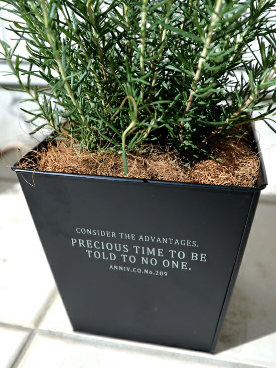 こだわりの土で植え込んでいます。