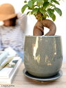 【植木鉢】 ブルー 落ち着きのある ラウンド型 陶器鉢 【植木鉢・受皿・鉢底石・鉢底ネット付属】 【鉢の販売】鉢植え 陶器 陶器鉢 鉢 苗 苗木 植木鉢 ブルー グレーブルー 丸型 丸形 オーバル バルーン 観葉植物 【植物の付属なし】