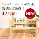 サンショウ(朝倉山椒:アサクラサンショウ) 4.5号 ポット苗 1鉢 山椒 サンショウ苗 山椒の木 サンショウの木 木の芽 キノメ ハジカミ 葉サンショウ 葉山...