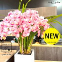 シンビジューム(花色:ピンク)アーチ仕立て 白色 ファイバー製 キューブ型 陶器鉢 1鉢 【飾り石・陶器鉢】 シンビジウム シンビデューム 桃 桃色 蘭 胡蝶蘭 洋蘭 シンビ CYM Cymbidium