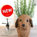 ローズマリー 4号 × ワンちゃんバスケット Mサイズ 2色犬 鉢植え 苗 苗木 薬 立性 ハーブ マンネンロウ 迷迭香 海のしずく ココヤシファイバー 観葉植...