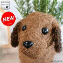 ローズマリー 4号 × ワンちゃんバスケット Mサイズ 2色犬 鉢植え 苗 苗木 薬 立性 ハーブ マンネンロウ 迷迭香 海のしずく ココヤシファイバー 観葉植...