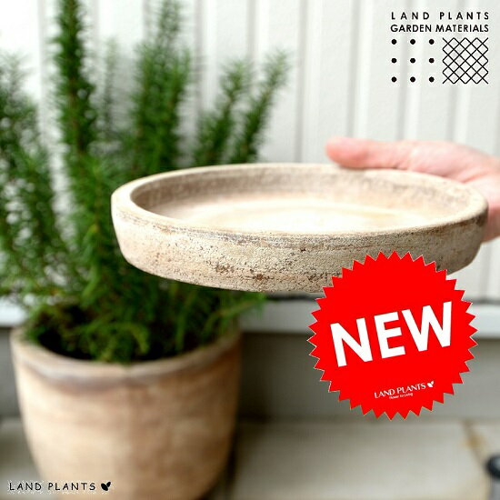 楽天市場 受け皿 陶器製 受皿 茶色 直径 5cm エッグ型 ラウンド用 受皿の販売 陶器 陶器鉢 皿 さら ソーサー ソーサ 植物 鉢の付属なし 茶 茶色 ブラウン ベージュ 丸 丸形 8号 7号 観葉植物 Land Plants 楽天市場店 楽天市場 受け皿 陶器製 受皿 茶色 直径 5cm エッグ型 ラウンド用 受皿の販売 陶器 陶器鉢 皿 さら ソーサー ソーサ 植物 鉢の付属なし 茶 茶色 ブラウン ベージュ 丸 丸形 8号 7号 観葉植物 Land Plants 楽天市場店