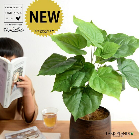 【造花 】 ウンベラータ （自然樹形） 5〜6号サイズ ウッド風 ペイント陶器鉢 Mサイズ 観葉 観葉植物 ..