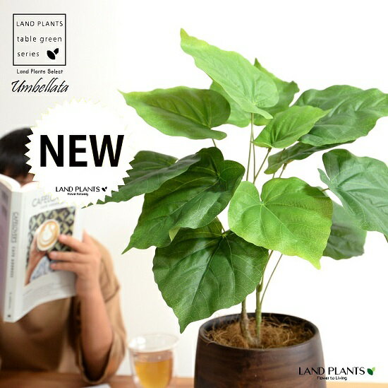 【造花 】 ウンベラータ （自然樹形） 5〜6号サイズ ウッド風 ペイント陶器鉢 Mサイズ 観葉 観葉植物 インテリアグリーン 茶 茶色 ブラウン ウォールナット アートフラワー アーティフィシャルフラワー asca アスカ 造花