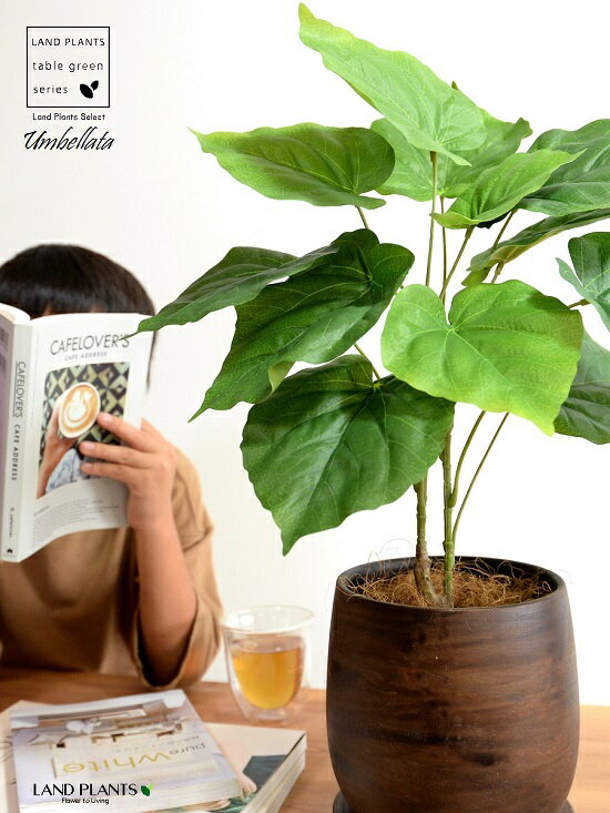 【造花 】 ウンベラータ （自然樹形） 5〜6号サイズ ウッド風 ペイント陶器鉢 Mサイズ 観葉 観葉植物 ..