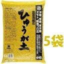 ひゅうが土 (中粒)5L (5袋)ぼら土 ひゅうがつち 日向土 日向つち 日向石 ひゅうが石 園芸用軽石 軽石 鉢底石 底石 水に沈む軽石 多肉 多肉植物 蘭 洋蘭 胡蝶蘭 挿し木 用土 専用土 土 つち