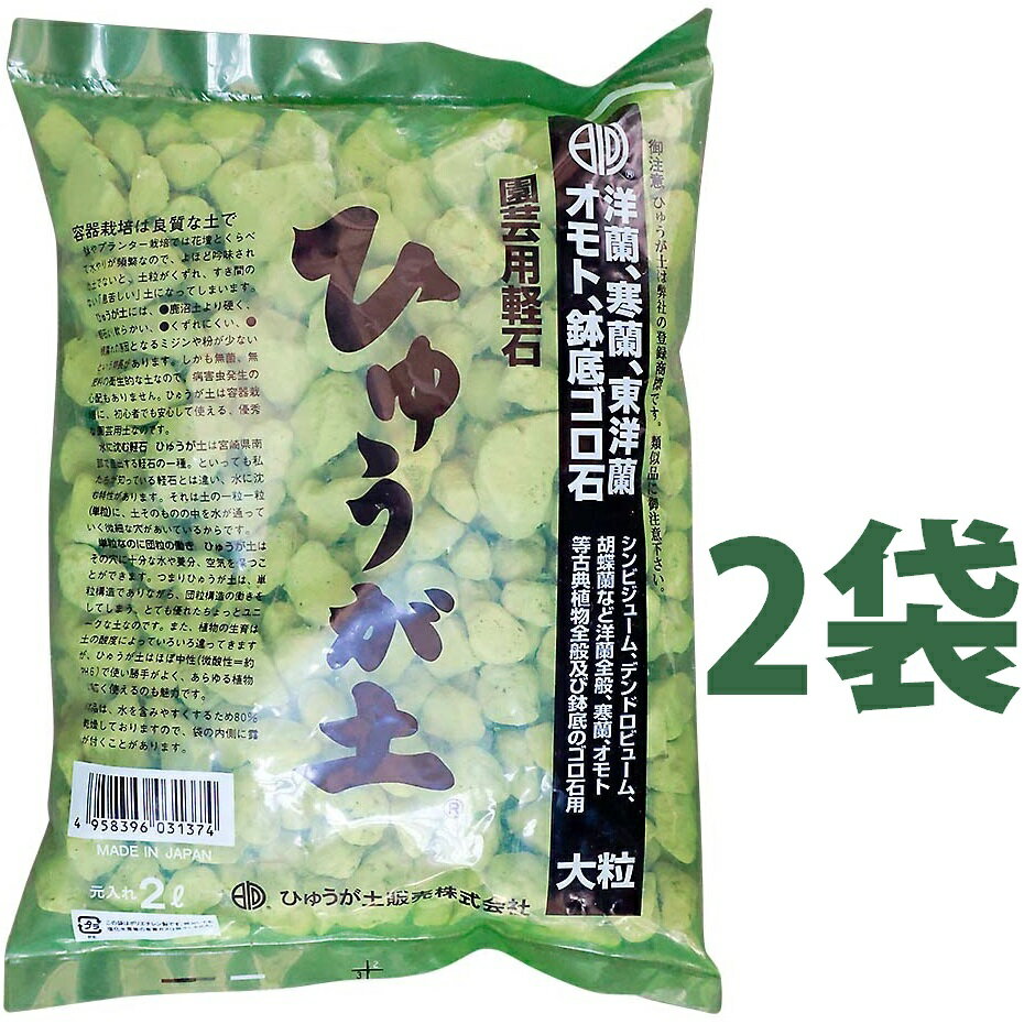 ひゅうが土 （大粒）5L （2袋）ぼら土 ひゅうがつち 日向土 日向つち 日向石 ひゅうが石 園芸用軽石 軽石 鉢底石 底石 水に沈む軽石 多肉 多肉植物 蘭 洋蘭 胡蝶蘭 挿し木 用土 専用土 土 つち